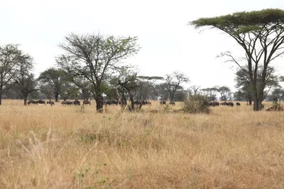 DSC_4084 (Large).JPG